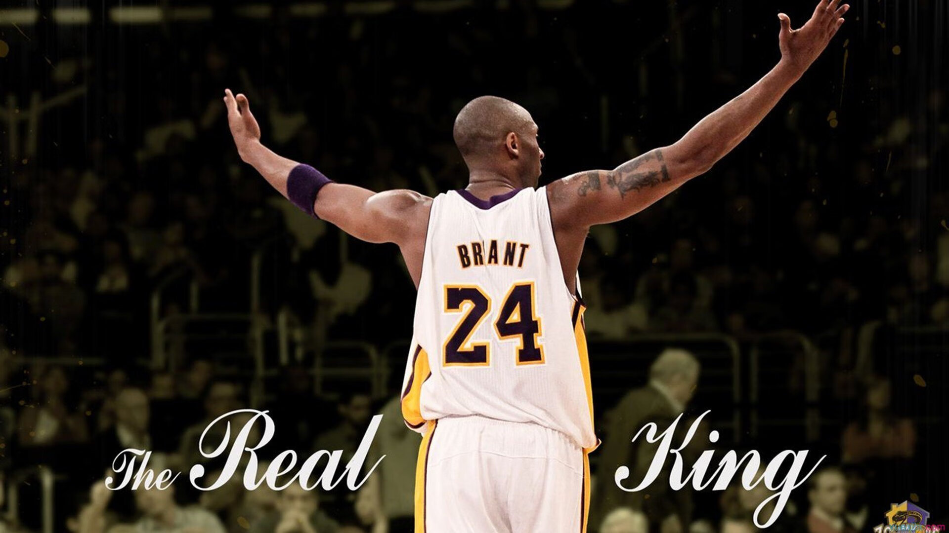 开云中国-【投票选MVP】粉丝投票出年度最具影响力球员，mvp球迷投票